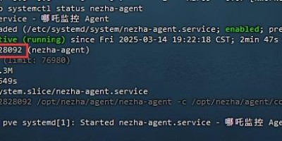 哪吒监控V1杀掉已删除的nezha-agent进程
